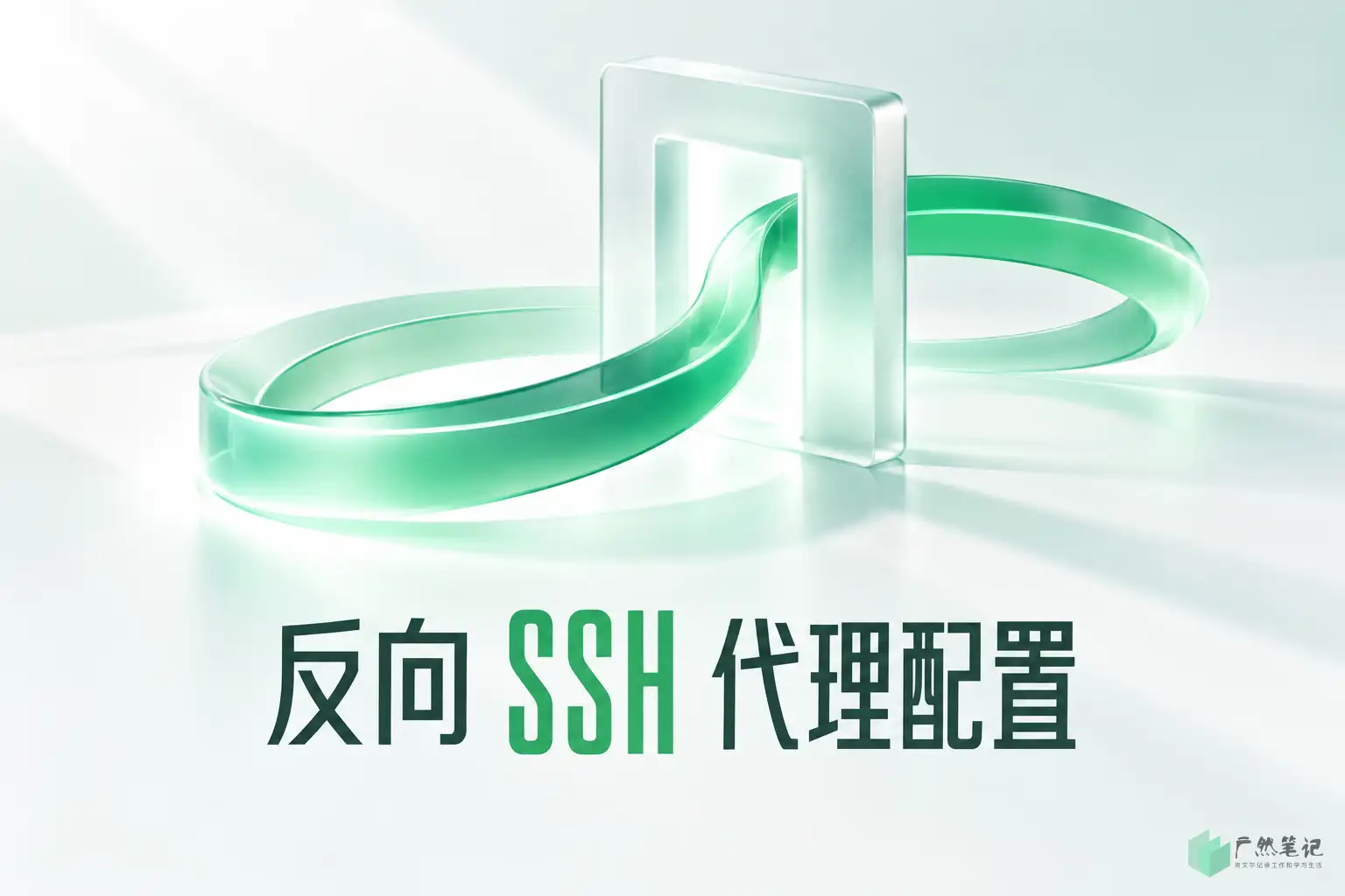 反向 SSH 代理配置