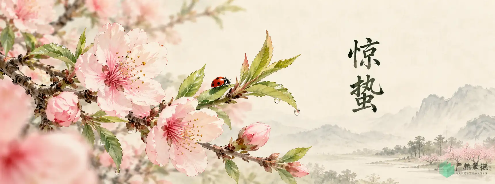 惊蛰 Banner B版|花木物候特写|1720×640