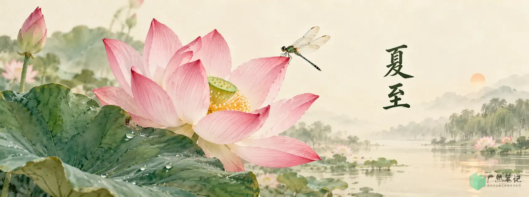 夏至 Banner B版|花木物候特写|1720×640