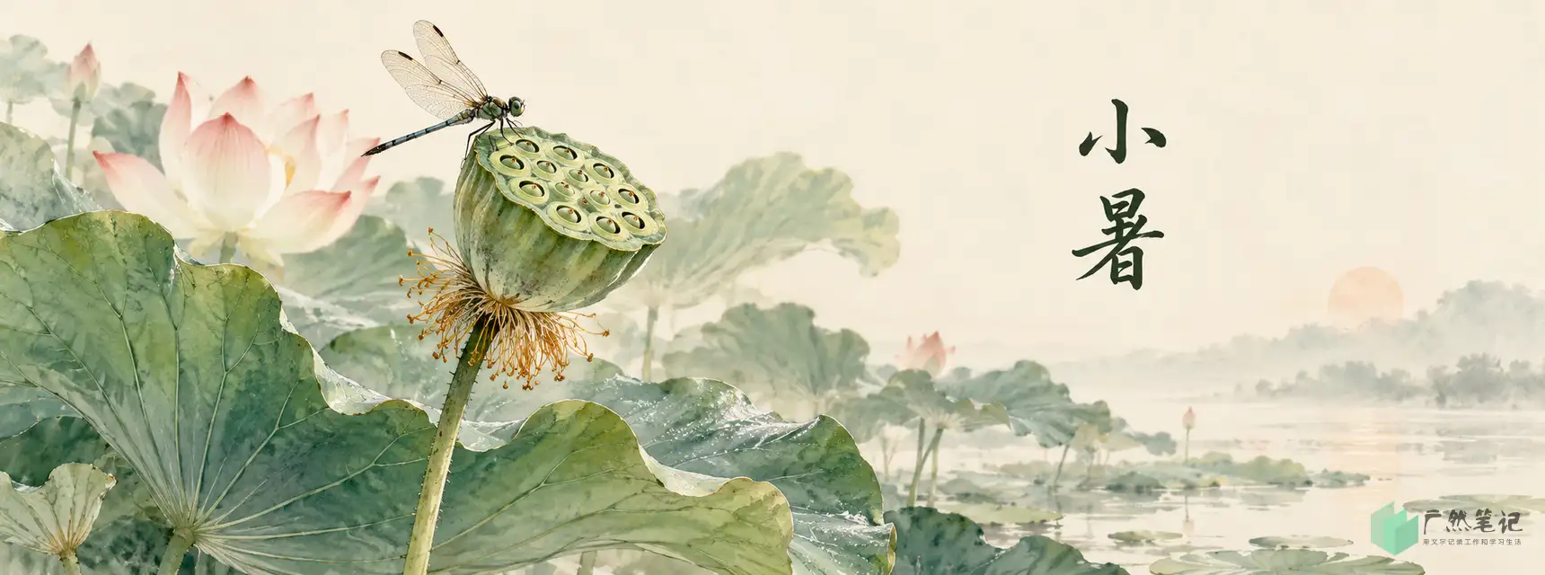 小暑 Banner B版|花木物候特写|1720×640