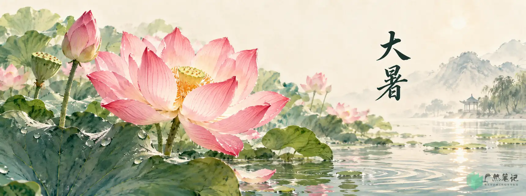 大暑 Banner B版|花木物候特写|1720×640