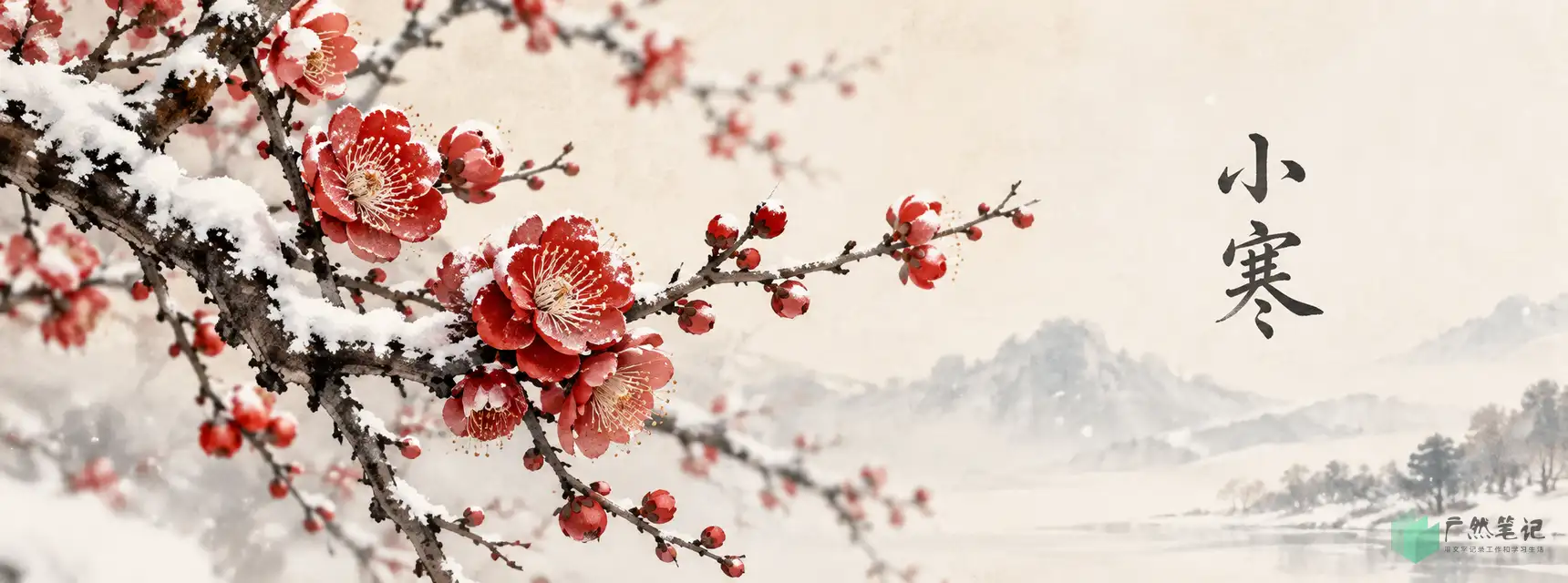 小寒 Banner B版|花木物候特写|1720×640